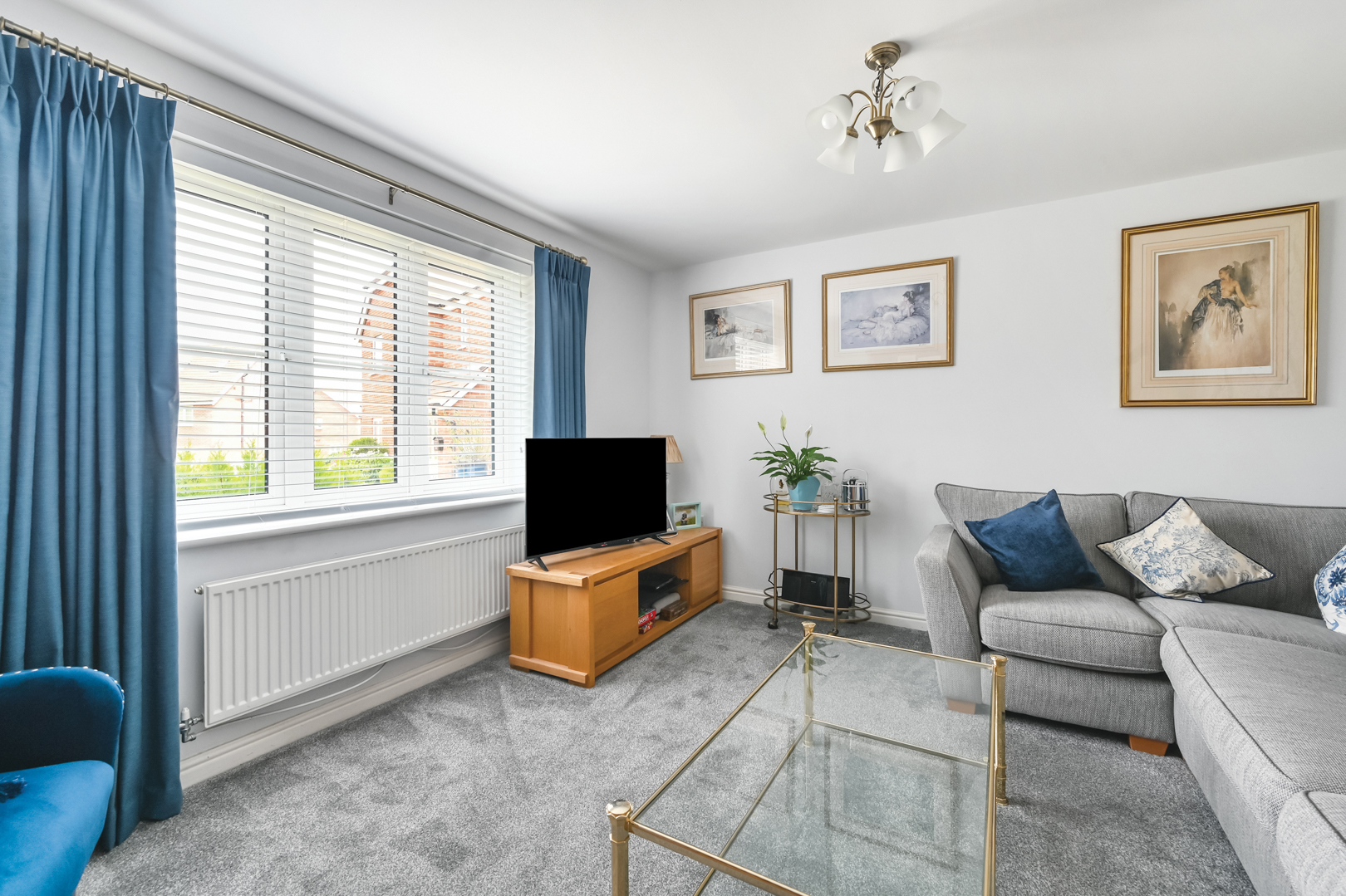 Viburnum Way, Hailsham, BN27