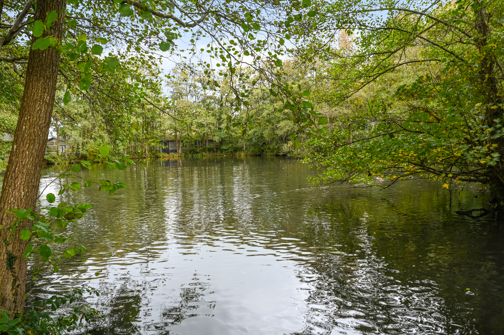 Hailsham Road, Pevensey, BN24