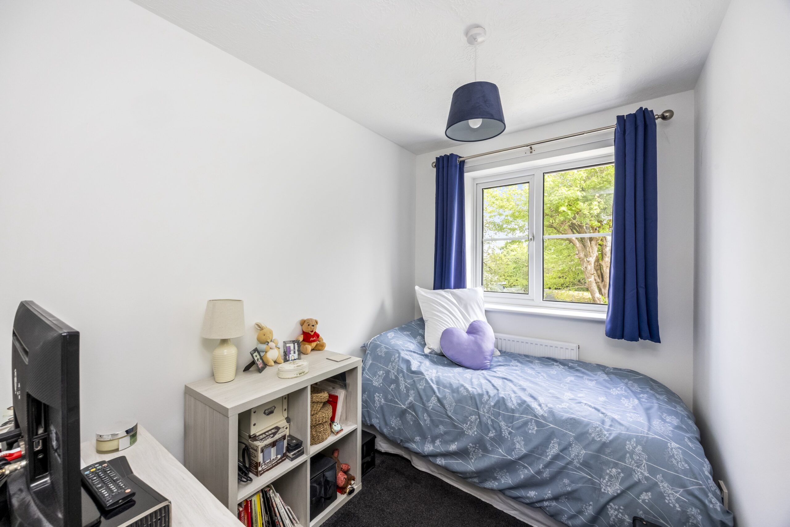Carpenters Way, Hailsham, BN27